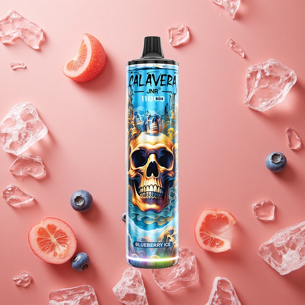 JNR Calavera 11000 Puffs Mirtillo Ghiaccio Porta di Ricarica Type-C 21ml Capacità E-Liquid Italia wholesale