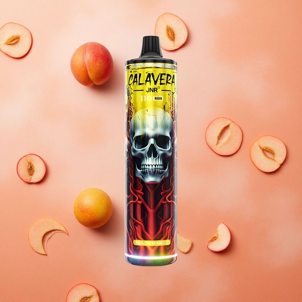 JNR Calavera 11000 Puffs Pesca Mango Porta Type-C Batteria 850mAh Italia wholesale