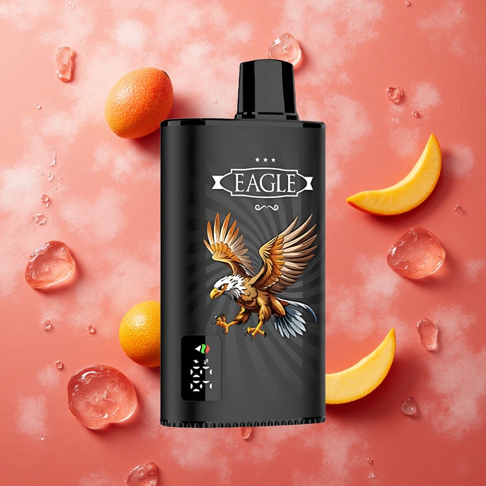 JNR EAGLE Smart 23000 Puffs Mango Ghiaccio Ribes Nero Schermo Digitale Bobina Mesh 1.0ohm Italia wholesale