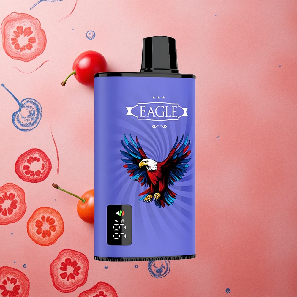 JNR EAGLE Smart 23000 Puffs Mirtillo Lampone Schermo Digitale Batteria 750mAh Italia wholesale