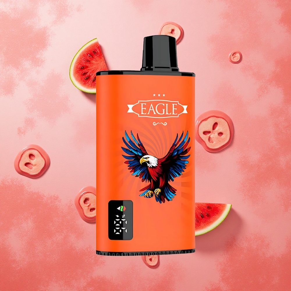 JNR EAGLE Smart 23000 Puffs Schermo Digitale Gomma da Masticare Anguria Italia wholesale