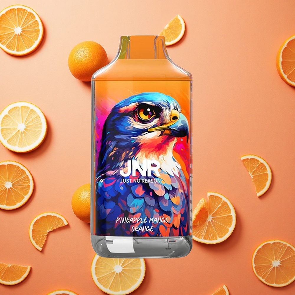 JNR Falcon 16000 Puffs Ananas Mango Arancia Capacità della Batteria 850 mAh E-liquid Capacità 22ml Italia wholesale
