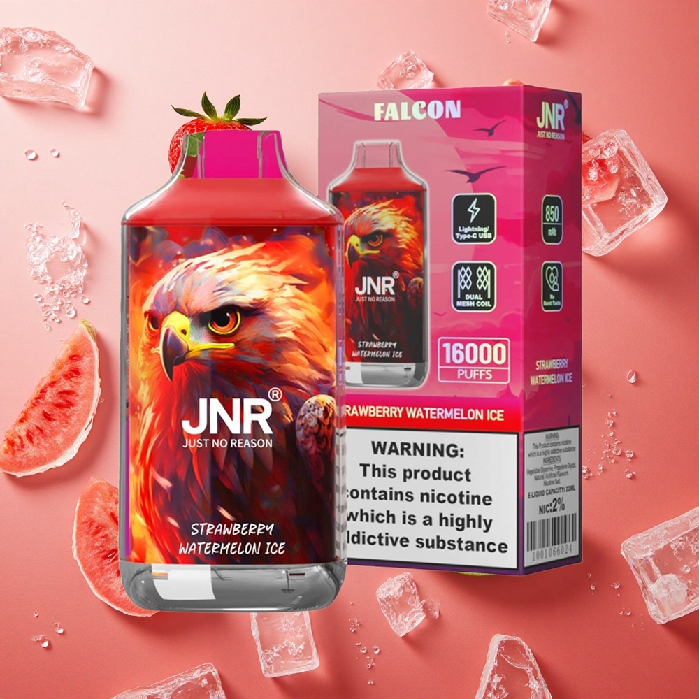 JNR Falcon 16000 Puffs Fragola Anguria Ghiaccio Display Intelligente LED 22ml E-liquid Italia wholesale