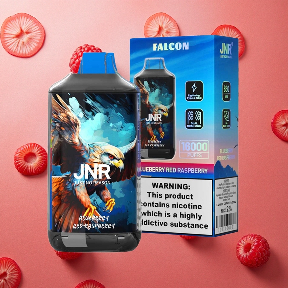 JNR Falcon 16000 Puffs Mirtillo Lampone Rosso 850 mAh 22ml Italia wholesale