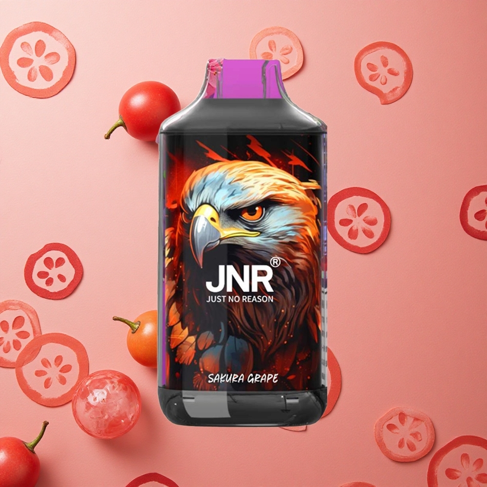 JNR Falcon 16000 Puffs Sakura Uva Capacità Batteria 850 mAh Tipo Ricarica Type C & Lightning Italia wholesale