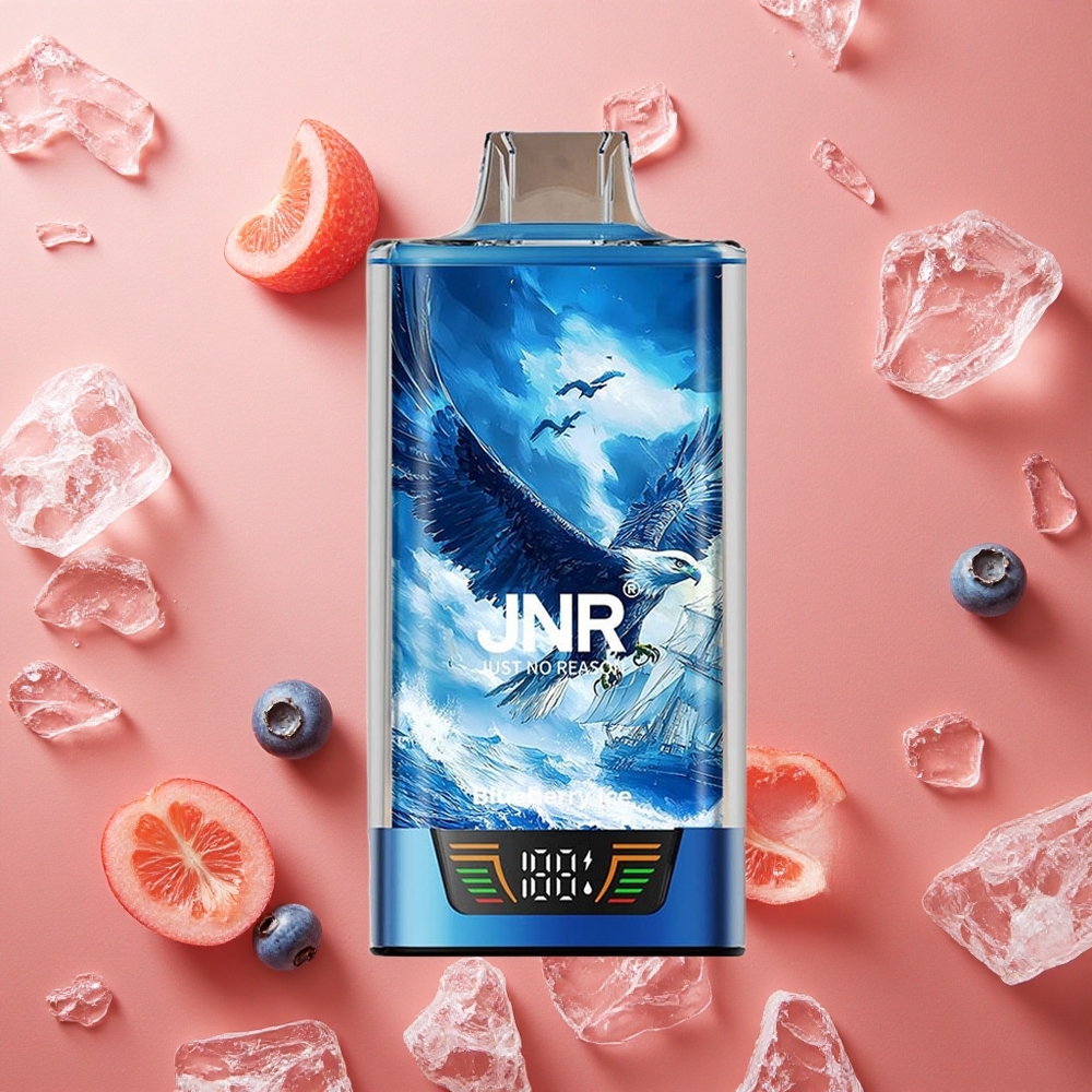 JNR Falcon Pro 28000 Menta Blu Ghiaccio 30ml Pre-Riempiuto 950mAh Italia wholesale