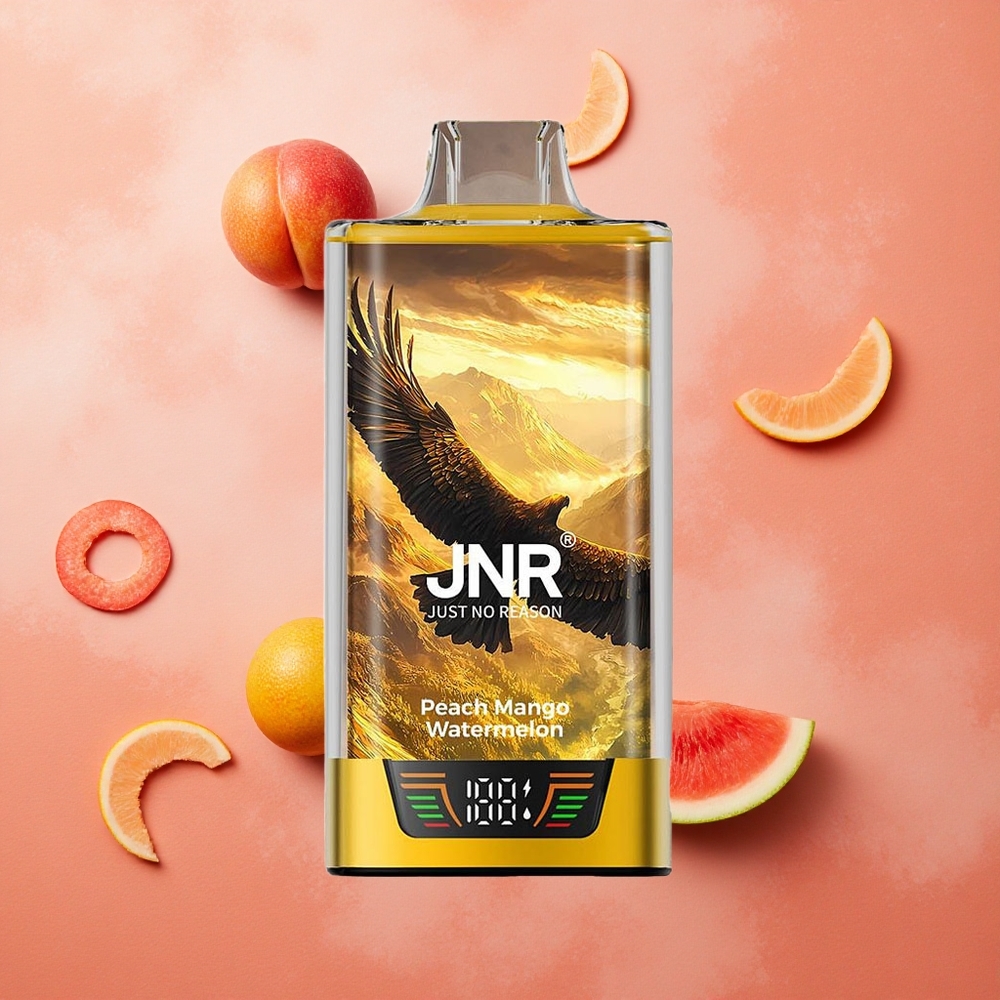 JNR Falcon Pro 28000 Pesca Mango Anguria con 30ml Capacità Pre-Riempiuta e 950mAh Batteria Italia wholesale
