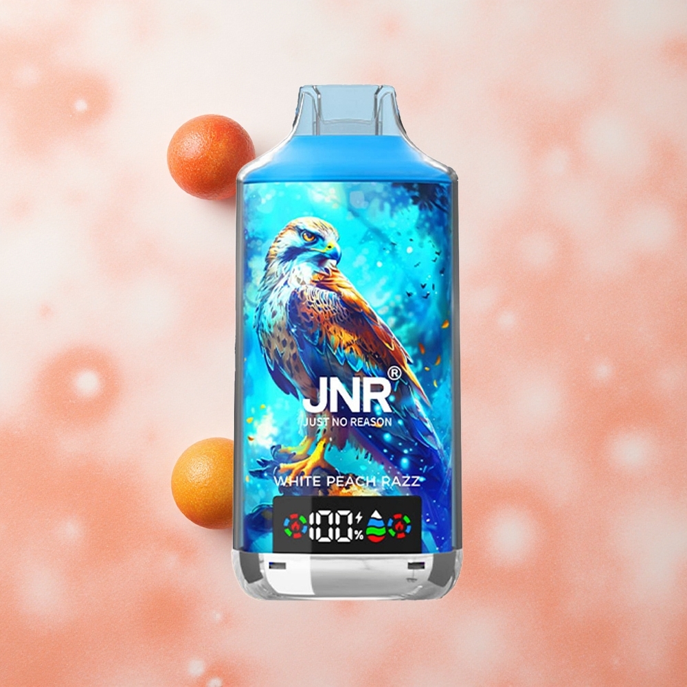 JNR Falcon X 18000 Puffs Bianca Pesca Lampone Display Digitale Dual Mesh Coil Italia wholesale
