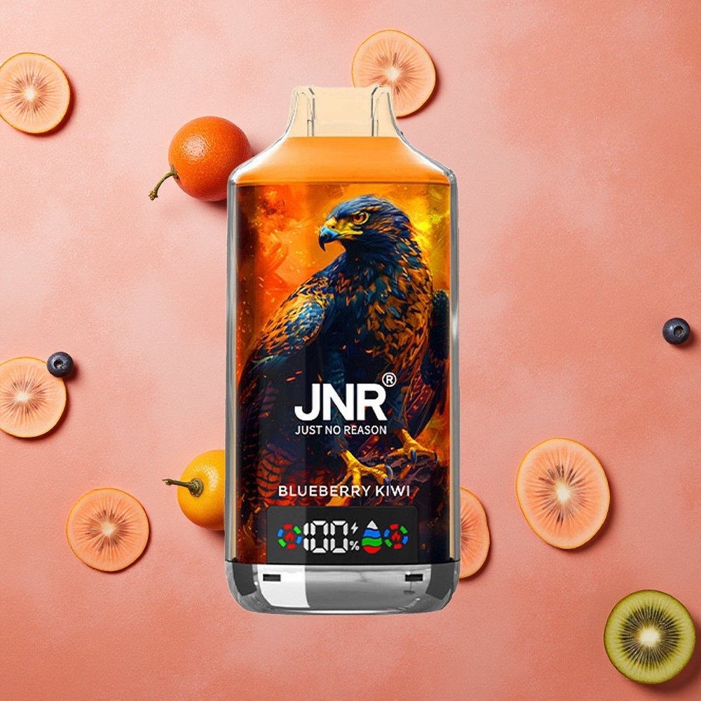 JNR Falcon X 18000 Puffs Blu Mirtillo Kiwi 750mAh 24ml Italia wholesale
