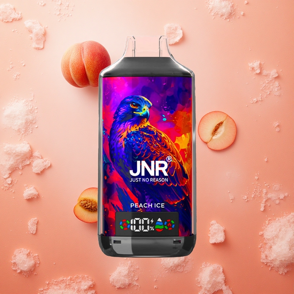 JNR Falcon X 18000 Puffs Display Digitale Doppia Griglia Pesca Ghiaccio Italia wholesale