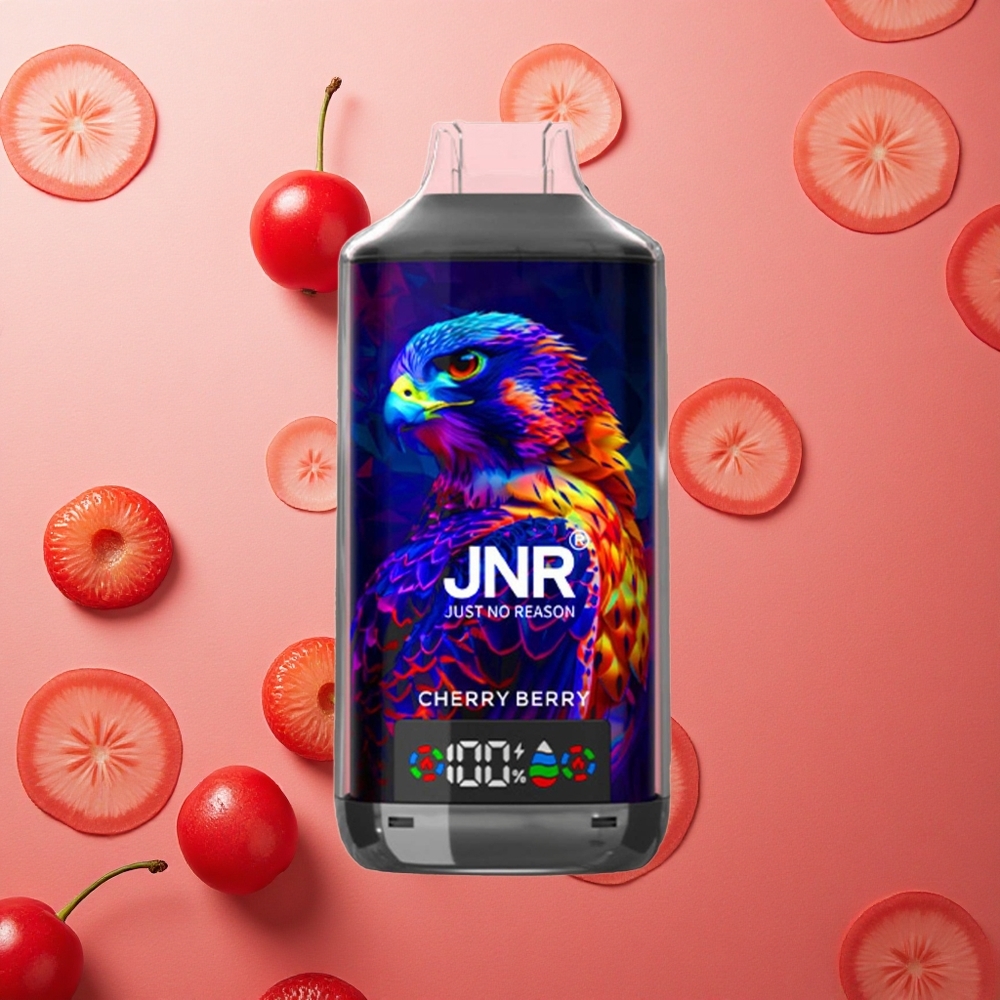 JNR Falcon X 18000 Puffs Display Digitale Doppia Mesh Ciliegia Bacca Italia wholesale