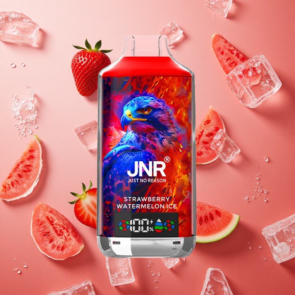 JNR Falcon X 18000 Puffs Display Digitale Doppia Spirale Anguria Fragola Ghiaccio Italia wholesale
