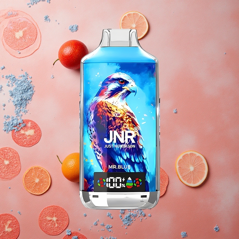 JNR Falcon X 18000 Puffs Display Digitale Dual Mesh Blu Italia wholesale