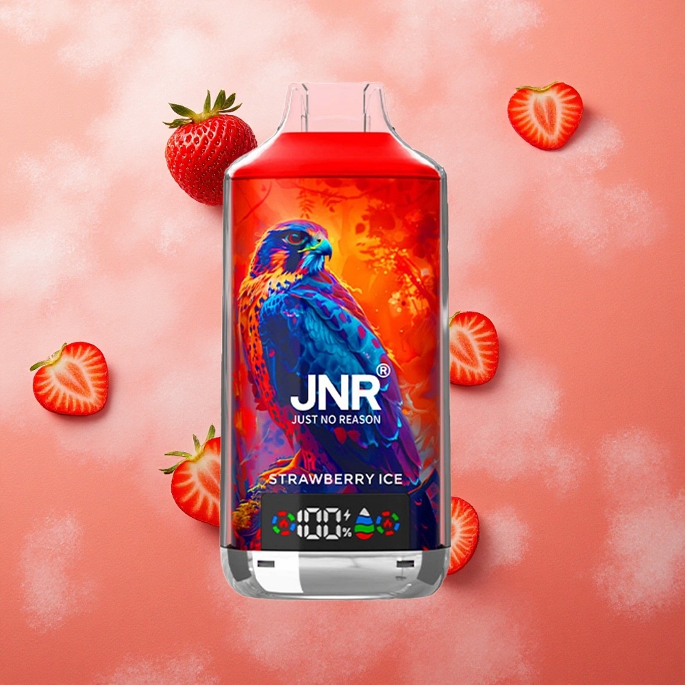 JNR Falcon X 18000 Puffs Display Digitale Ricarica Rapida Type-C Ghiaccio alla Fragola Italia wholesale