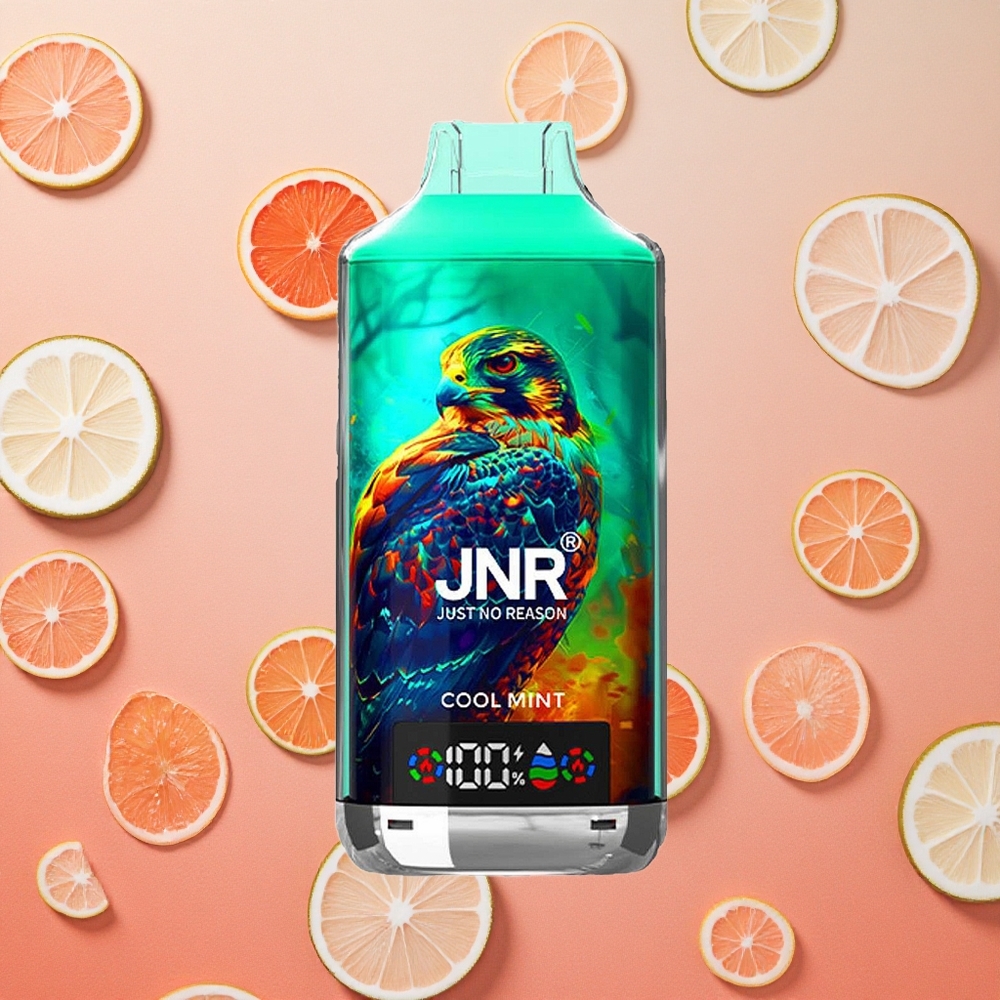JNR Falcon X 18000 Puffs Display Digitale Ricarica Rapida Type-C Menta Fresca Italia wholesale