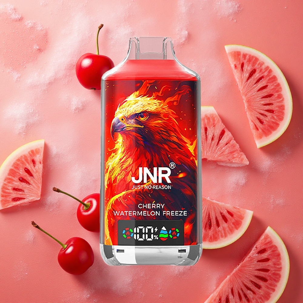 JNR Falcon X 18000 Puffs Doppia Mesh Coil 24ml Ciliegia Anguria Freeze Italia wholesale