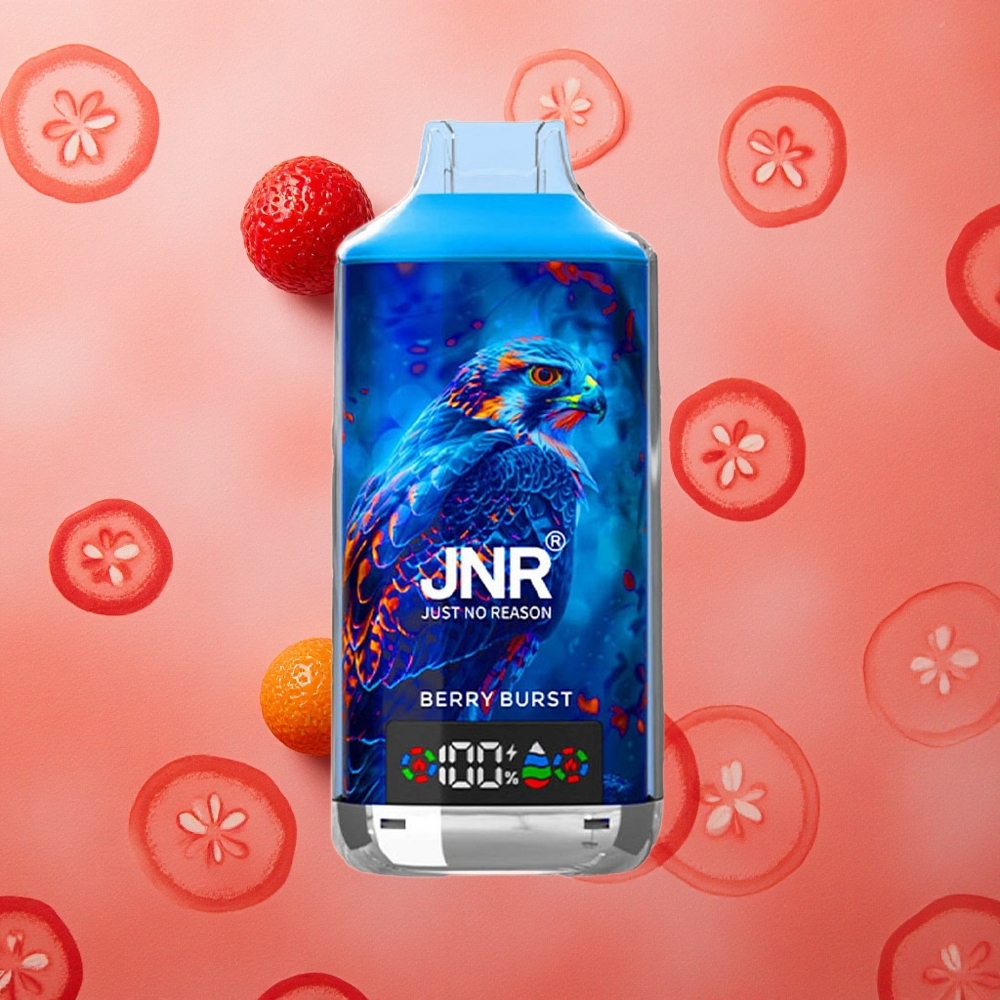 JNR Falcon X 18000 Puffs Scoppio di Bacche 750mAh 24ml Italia wholesale