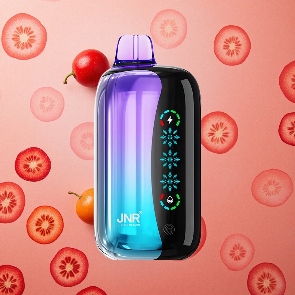 JNR Flex Ice 21000 Puffs Misto di Bacche Schermo Touch Italia wholesale