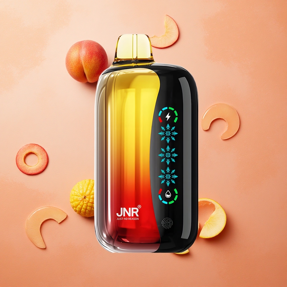 JNR Flex Ice 21000 Puffs Pesca Mango Ananas Schermo Touch Italia wholesale