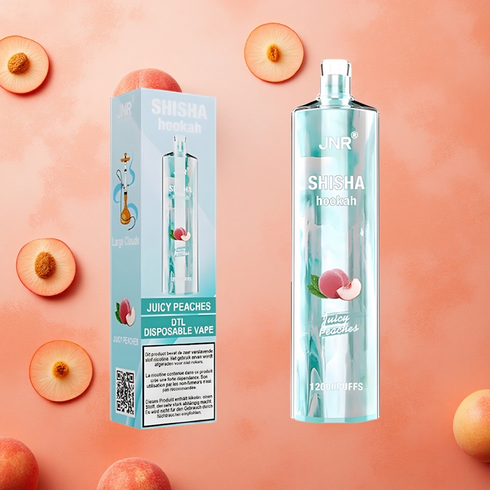 JNR Shisha Hookah 12000 Puffs Pesche Succose 24ml Italia wholesale