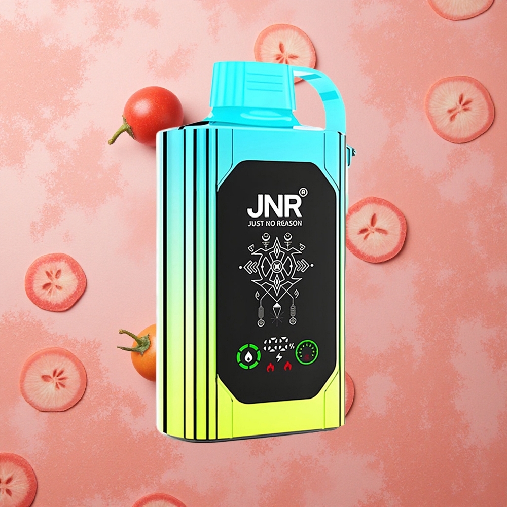 JNR Shisha Hookah Box 20500 Puffs Display HD Mirtillo Menta Dual Mesh Coil Italia wholesale