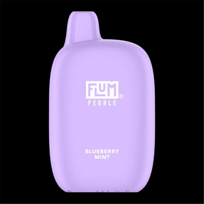 Flum Pebble Vape Flavors | FLUM PEBBLES 6000 sbuffi menta di mirtilli 8FP017