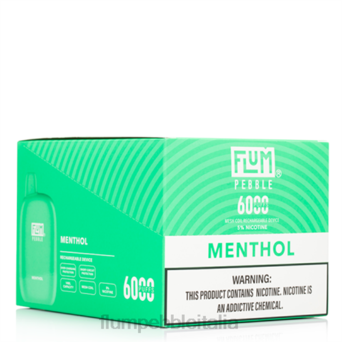 Flum Pebble Vape Review | FLUM PEBBLES 6000 puff 10 confezioni mentolo 8FP058
